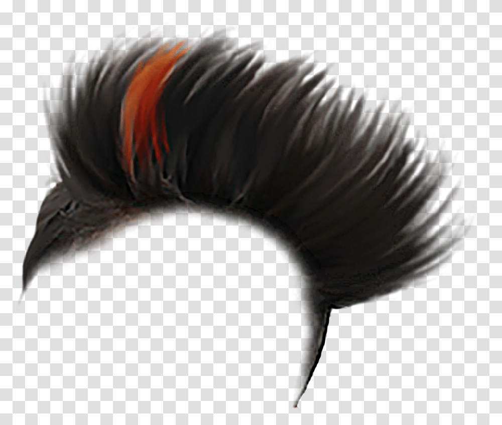 Boys Haircut Download Image Hair Color Style Boy, Animal, Bird, Invertebrate, Sea Anemone Transparent Png