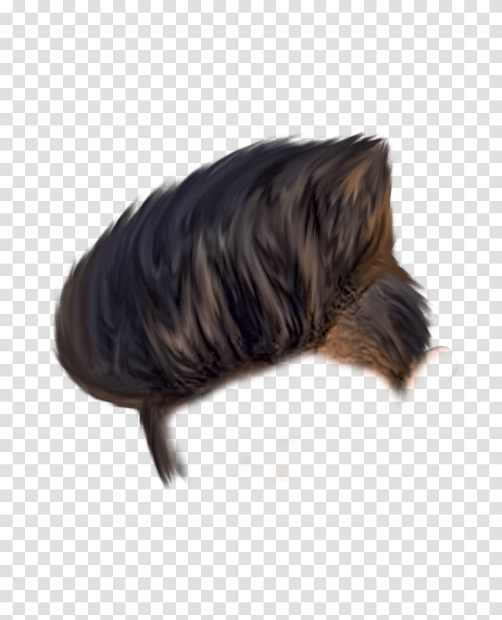 Boys Haircut Image Boy Hair Style, Head, Wig, Dog, Pet Transparent Png