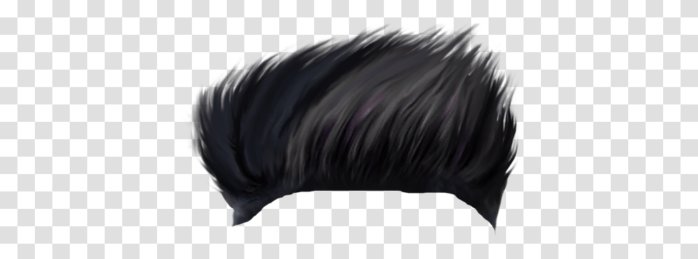 Boys Side Hair, Mammal, Animal, Horse, Person Transparent Png