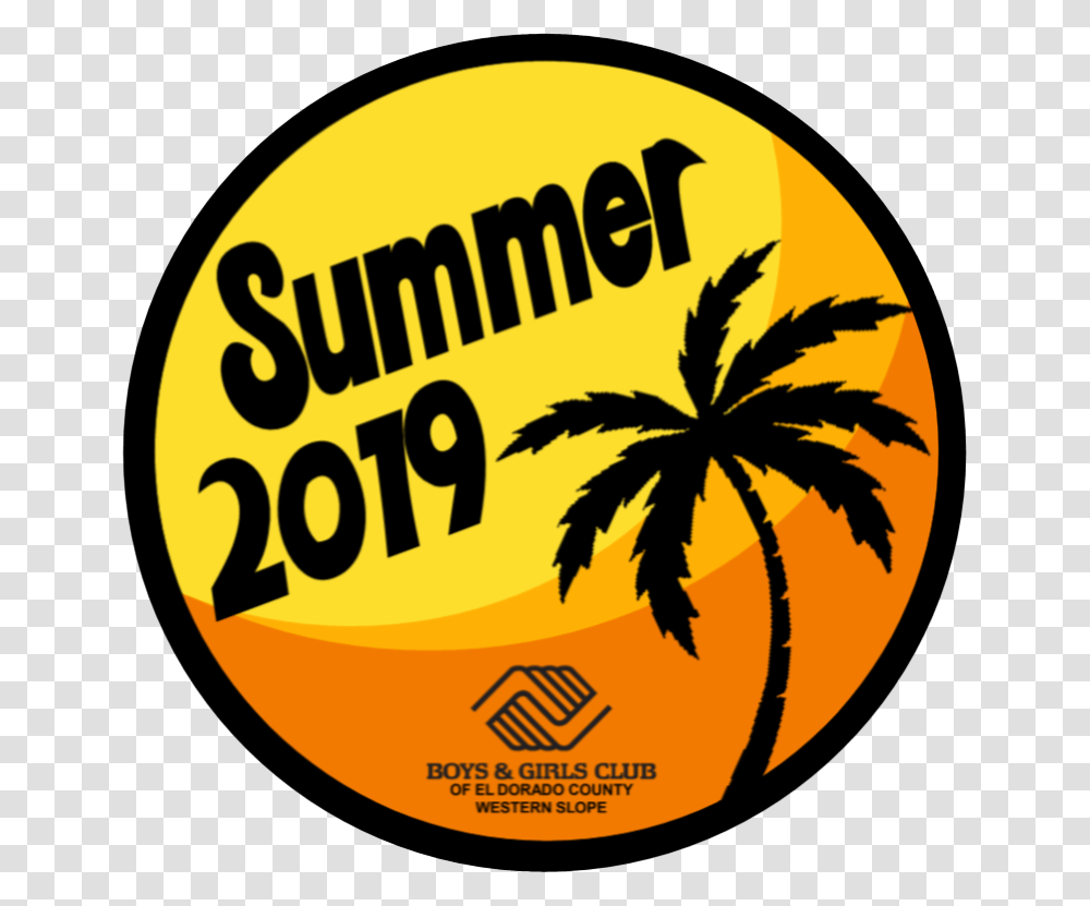 Boys Summer 2019 Logo, Plant, Paper Transparent Png