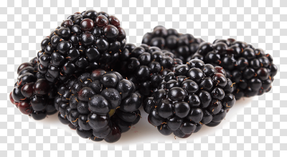 Boysenberry, Plant, Fruit, Food, Blueberry Transparent Png