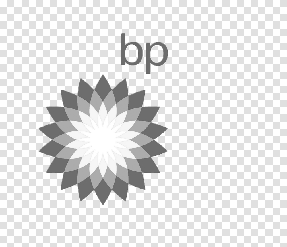 Bp Bp Logo, Plant, Flower, Blossom Transparent Png