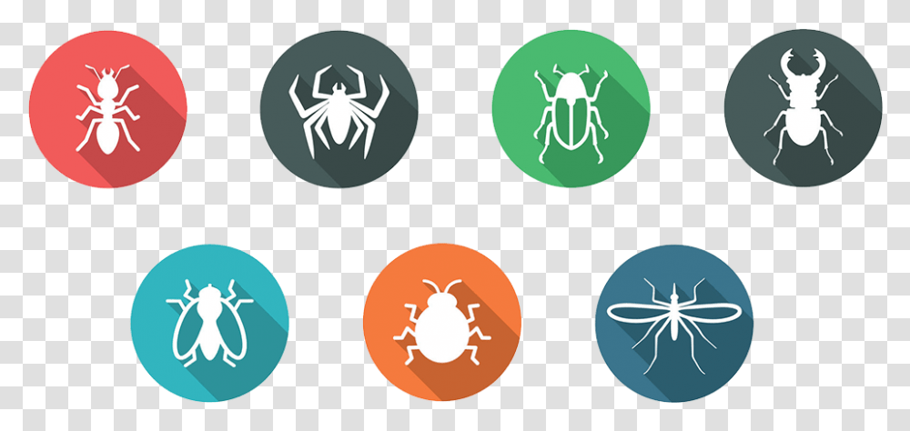 Bpc Pest Control In Ventura Santa Tangle Web Spider, Symbol, Logo, Trademark, Recycling Symbol Transparent Png