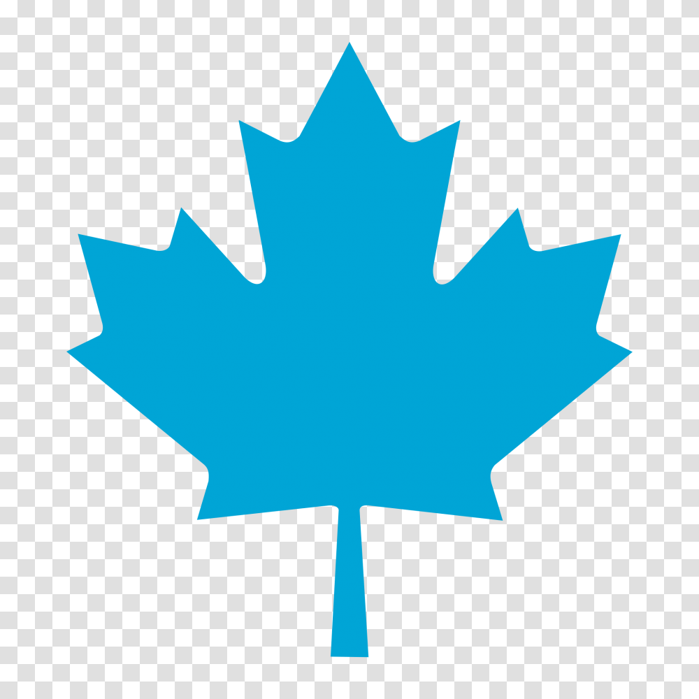 Bq Maple Leaf, Plant, Person, Human, Tree Transparent Png