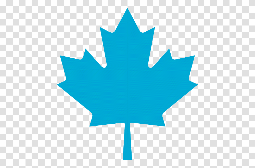 Bq Maple Leaf, Plant, Tree Transparent Png