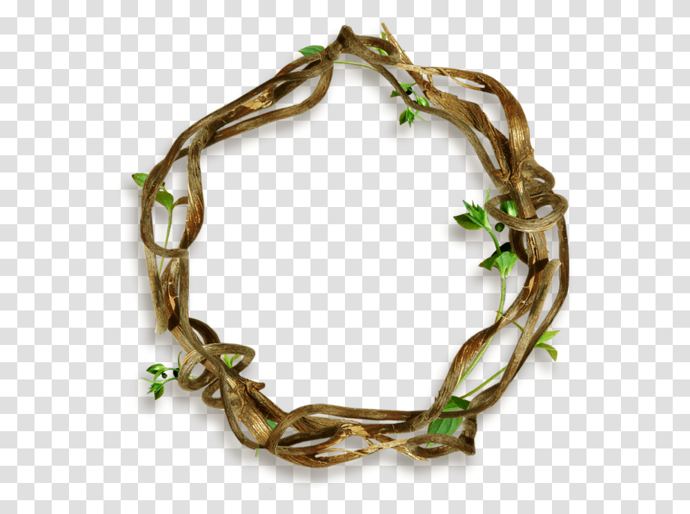 Bracelet, Ornament, Jewelry, Accessories, Accessory Transparent Png