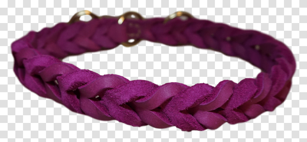 Bracelet, Sea Life, Animal, Seafood, Purple Transparent Png