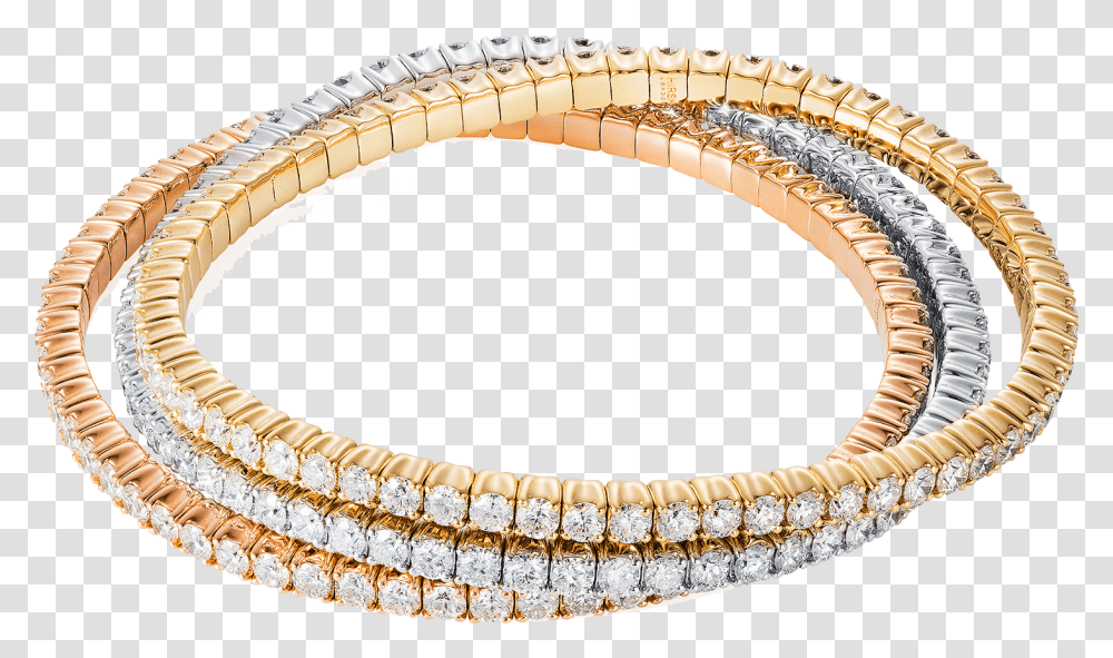 Bracelets Chain, Accessories, Accessory, Jewelry, Reptile Transparent Png