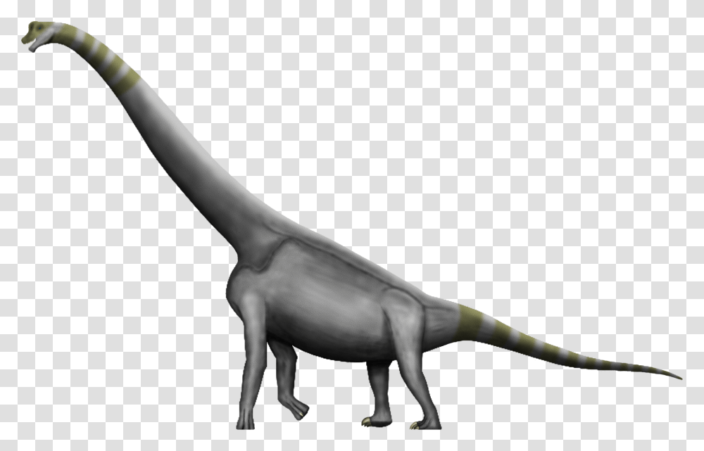 Brachiosaurus Argentinosaurus Dinosaur Size Amphicoelias Dinosaur, Reptile, Animal, T-Rex, Axe Transparent Png