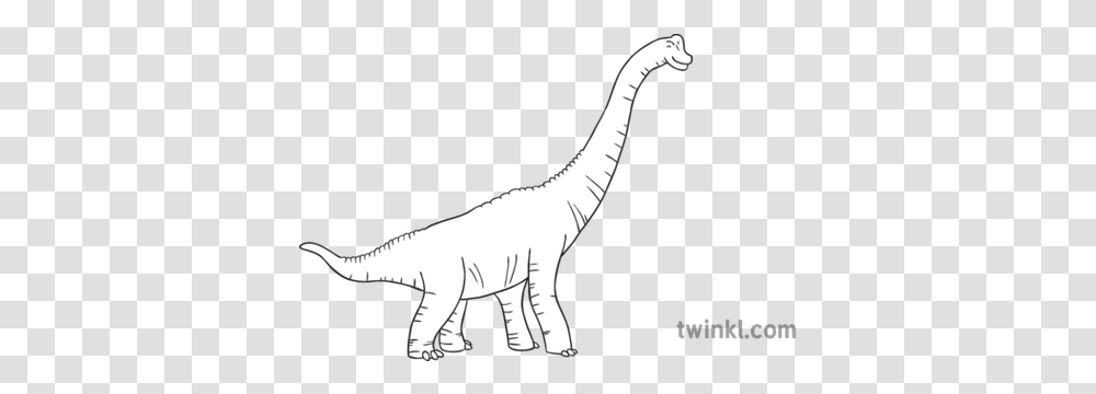 Brachiosaurus Black And White 2 Lesothosaurus, Dinosaur, Reptile, Animal, T-Rex Transparent Png