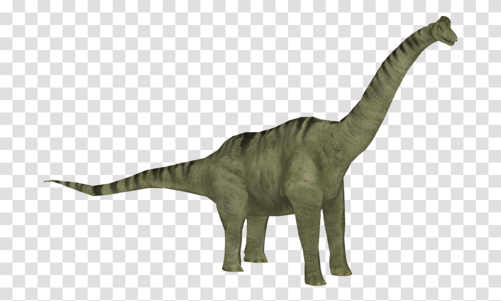 Brachiosaurus Clipart Brachiosaurus Jurassic Park, Dinosaur, Reptile, Animal, T-Rex Transparent Png