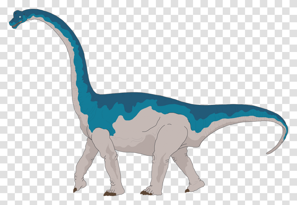 Brachiosaurus Clipart, Dinosaur, Reptile, Animal, T-Rex Transparent Png