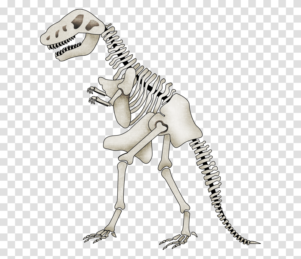 Brachiosaurus Clipart Skeleton Cartoon Dinosaur Skeleton With Background, Animal, Reptile, T-Rex Transparent Png