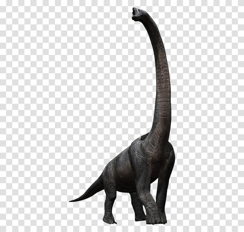 Brachiosaurus Dinosaurs Prehistoric Mammals And Other, Reptile, Animal, T-Rex, Elephant Transparent Png