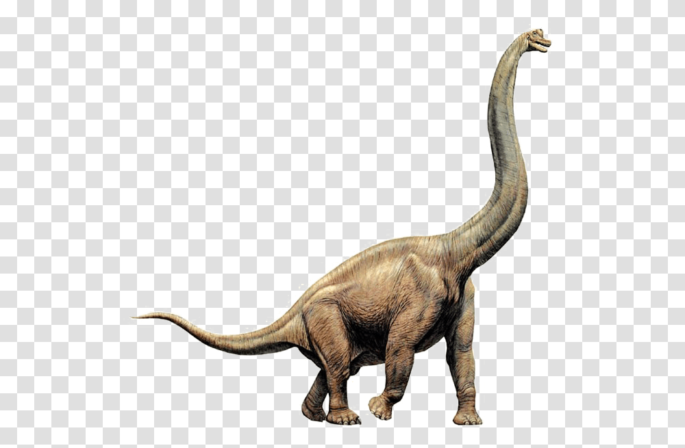 Brachiosaurus Image Brachiosaurus, Dinosaur, Reptile, Animal, T-Rex Transparent Png