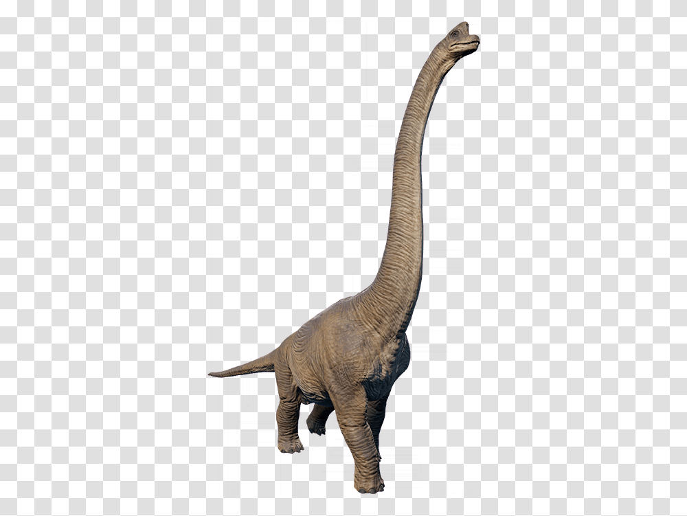 Brachiosaurus In 2020 Prehistoric Animals Brachiosaurus Jurassic Park Dinosaurs, Reptile, T-Rex, Bird Transparent Png