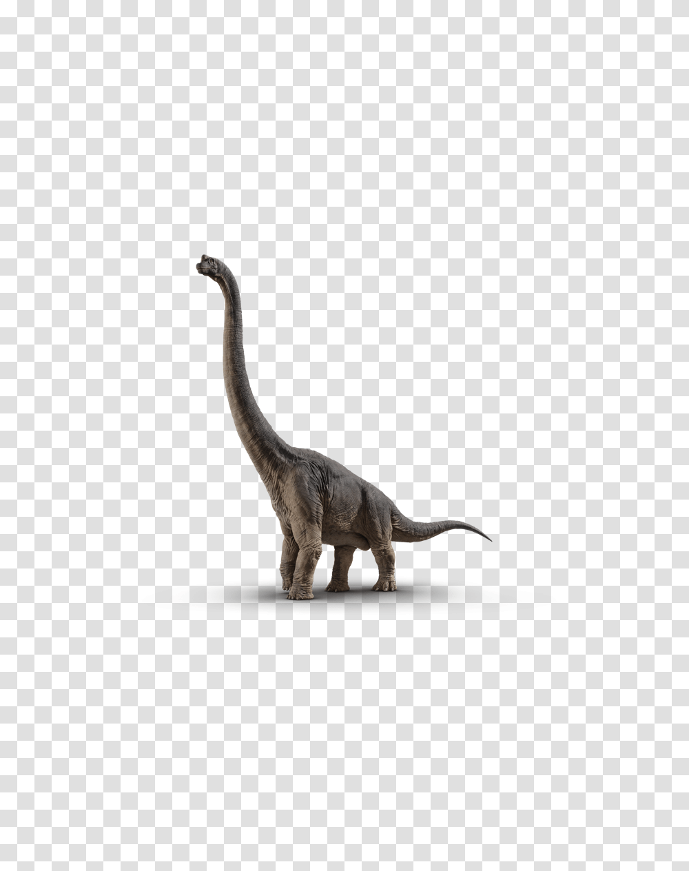 Brachiosaurus Jurassic World, Dinosaur, Reptile, Animal, T-Rex Transparent Png