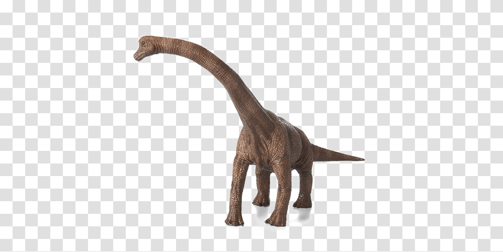 Brachiosaurus Photos, Dinosaur, Reptile, Animal, T-Rex Transparent Png