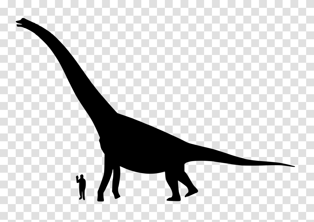 Brachiosaurus Size, Gray, World Of Warcraft Transparent Png