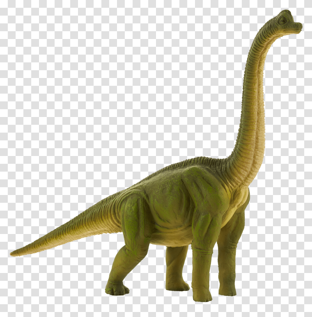 Brachiosaurus Toy Image With No Brachiosaurus Clipart Transparent Png