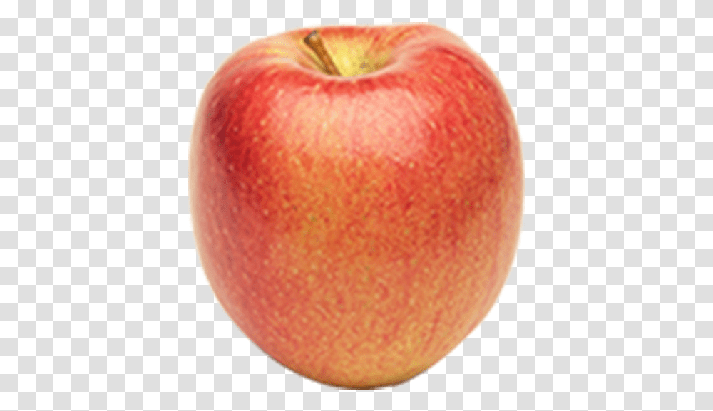 Braeburn Apple, Plant, Fruit, Food, Vegetable Transparent Png