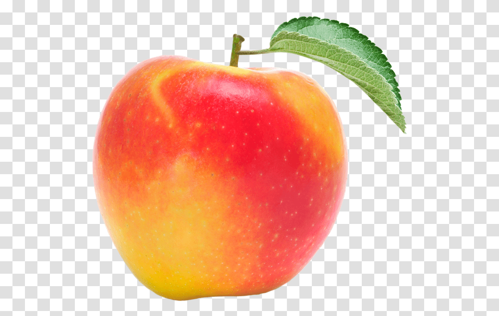 Braeburn Apples Themealdb Mcintosh, Fruit, Plant, Food, Produce Transparent Png
