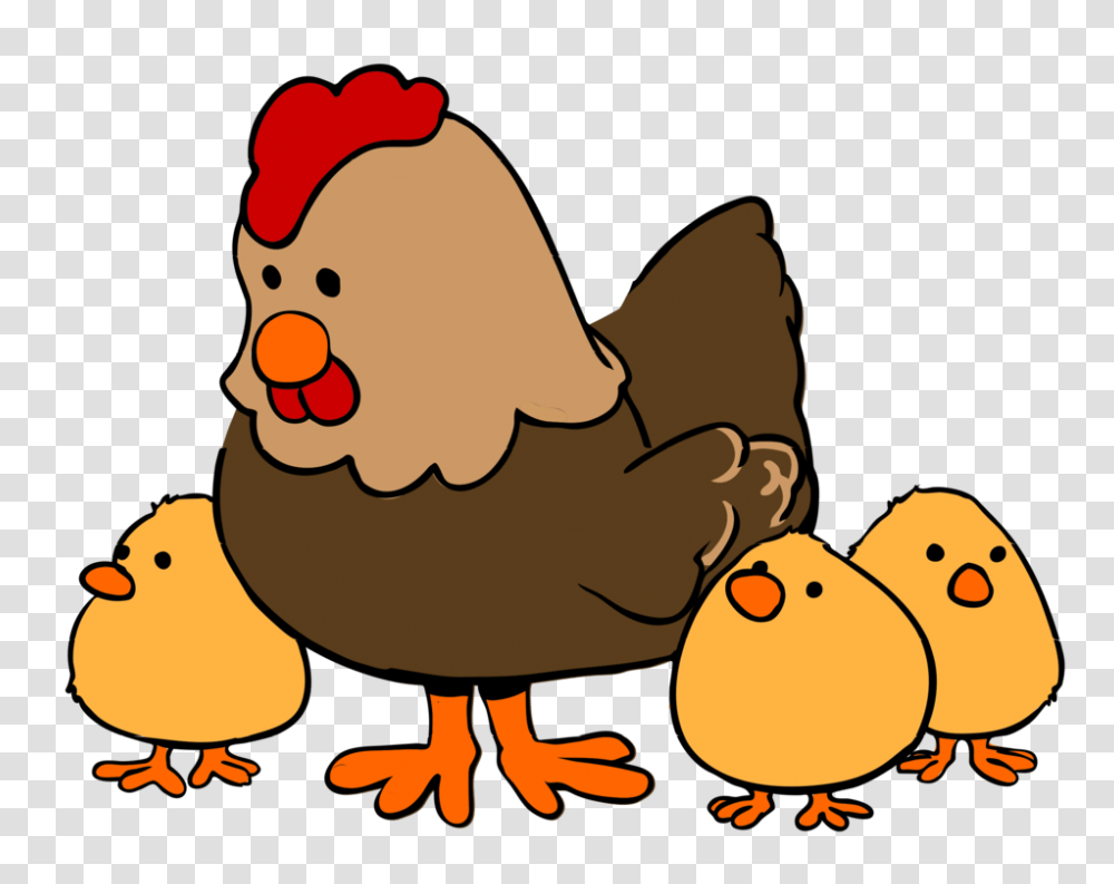 Brahma Chicken Cochin Chicken Silkie Hen And Chicks Free, Animal, Fowl, Bird, Poultry Transparent Png