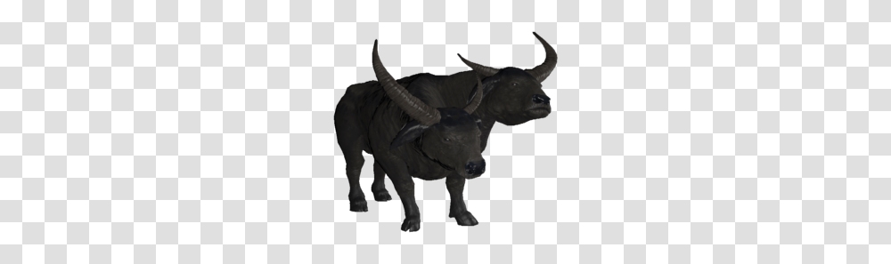 Brahmiluff Longhorn, Bull, Mammal, Animal, Buffalo Transparent Png