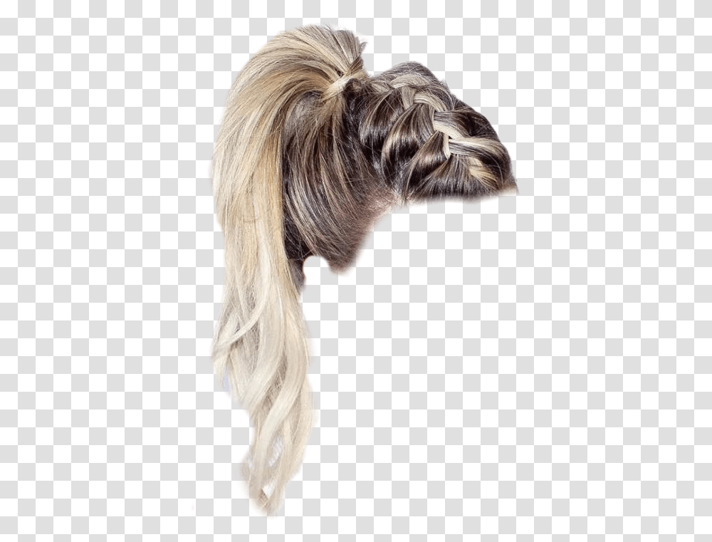 Braid Ponytail Blond Niche Vsco Hair Cite Hair Styles Ponytail, Person Transparent Png
