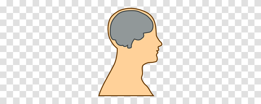 Brain Person, Head, Label Transparent Png