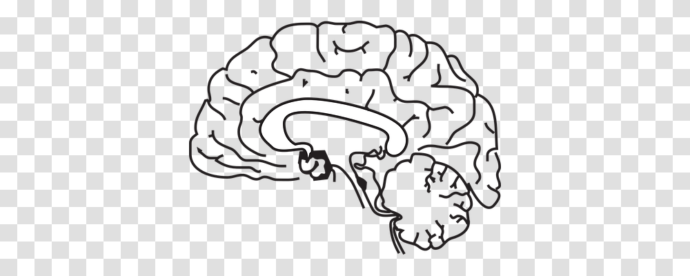 Brain Technology, Outdoors, Nature Transparent Png