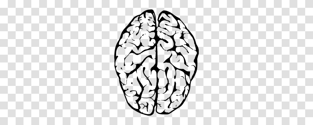 Brain Technology, Gray, World Of Warcraft Transparent Png