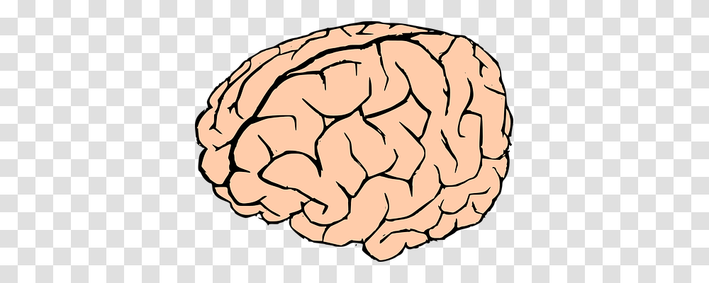 Brain Technology, Painting, Food Transparent Png