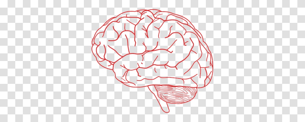 Brain Rug, Label, Hat Transparent Png