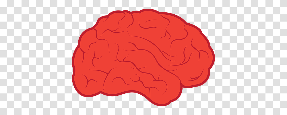 Brain Rock, Plant, Hand, Heart Transparent Png