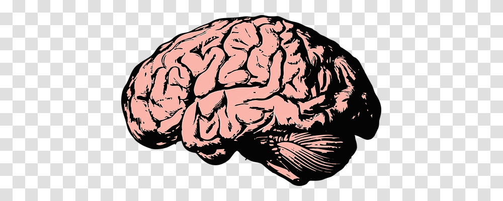 Brain Technology, Rock, Drawing Transparent Png