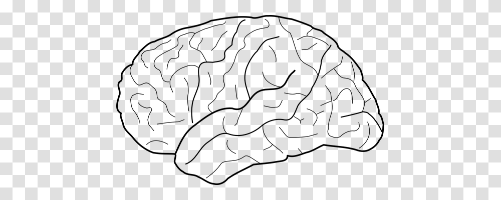 Brain Technology, Gray, World Of Warcraft Transparent Png