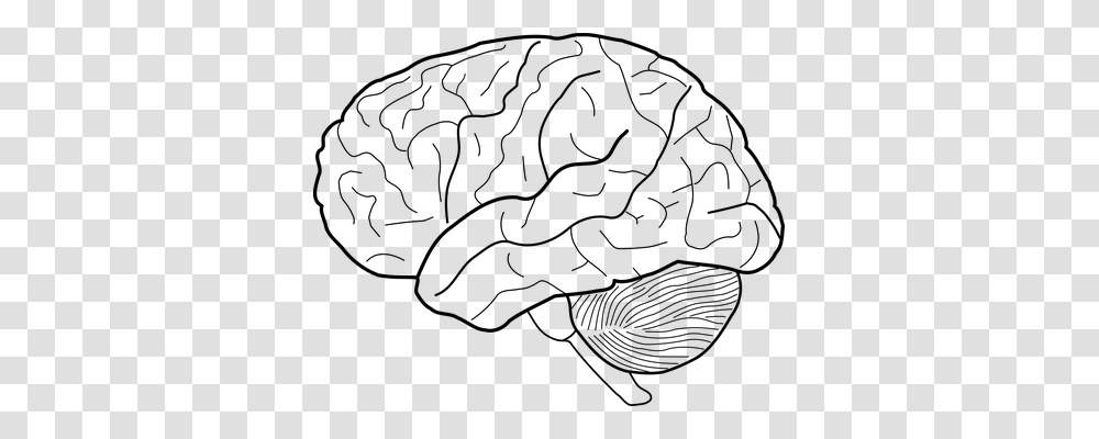 Brain Technology, Gray, World Of Warcraft Transparent Png