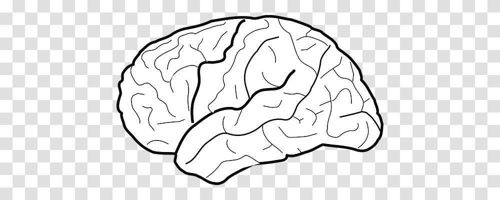 Brain Plant, Produce, Food, Vegetable Transparent Png