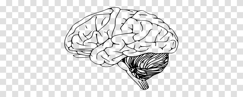 Brain Technology, Gray, World Of Warcraft Transparent Png