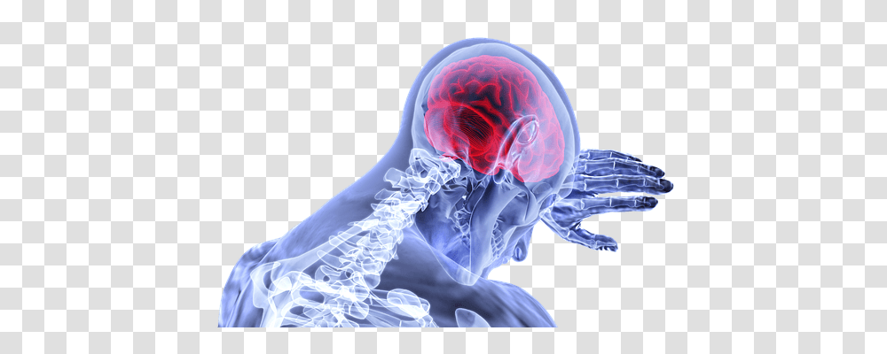 Brain X-Ray, Ct Scan, Medical Imaging X-Ray Film, Person Transparent Png