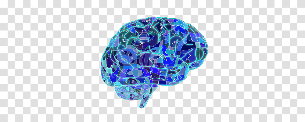 Brain Technology, Plant, Soccer Ball, Football Transparent Png