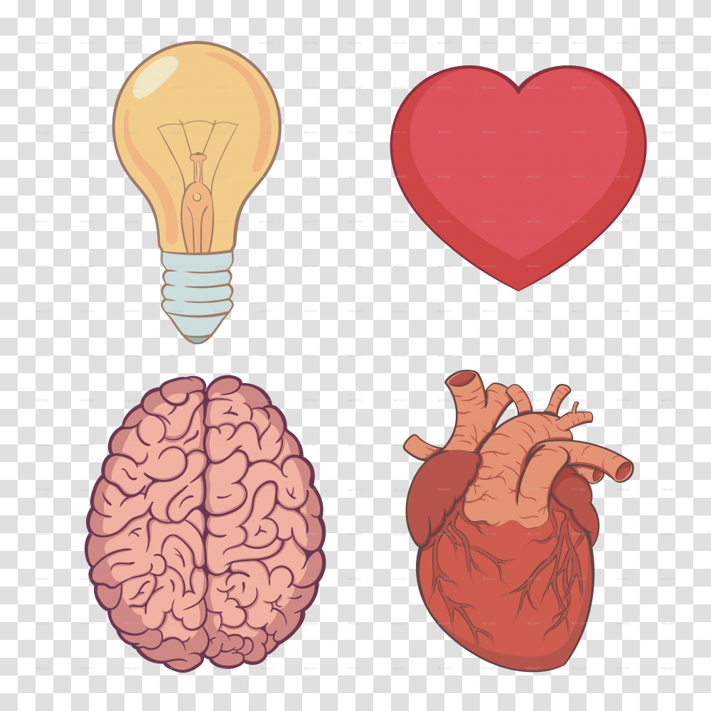 Brain And Heart, Light, Plant, Food, Land Transparent Png