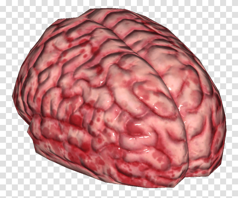 Brain As Food, Ornament, Pattern, Fractal, Agate Transparent Png