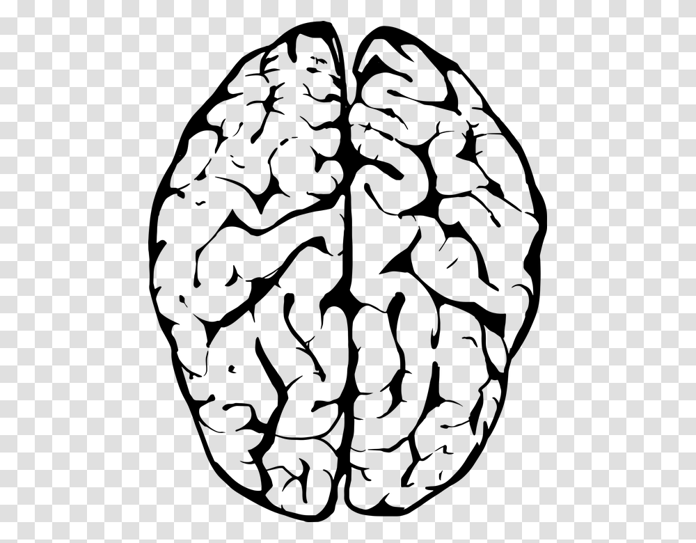 Brain Background, Gray, World Of Warcraft Transparent Png