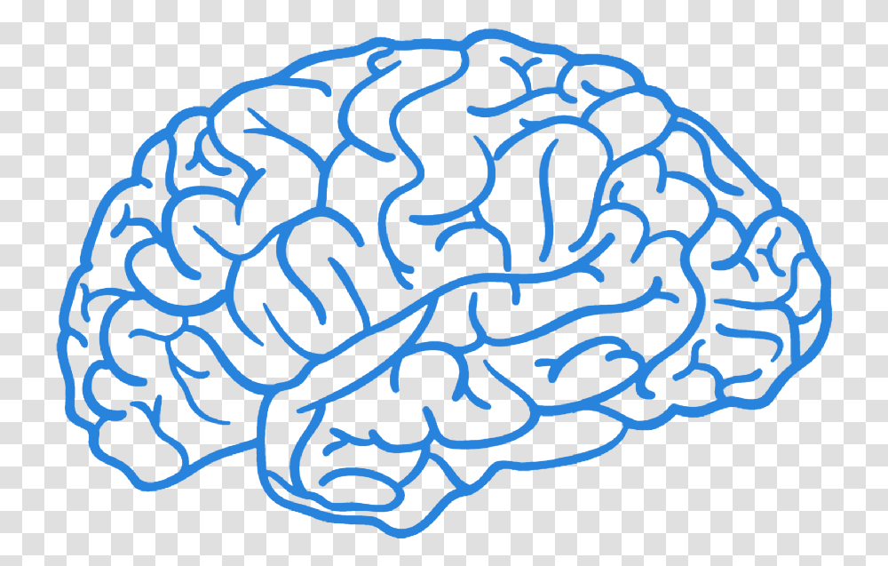 Brain Boy Brain, Pattern, Rug, Fractal Transparent Png