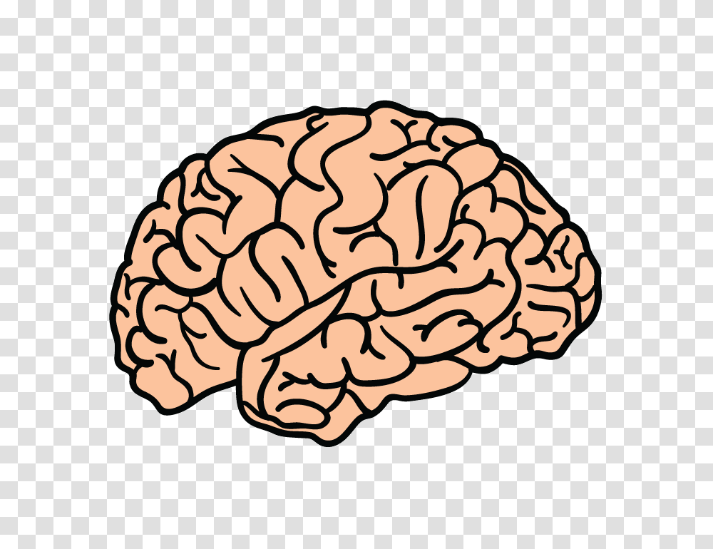 Brain Brain Images, Pillow, Cushion, Fungus, Reef Transparent Png