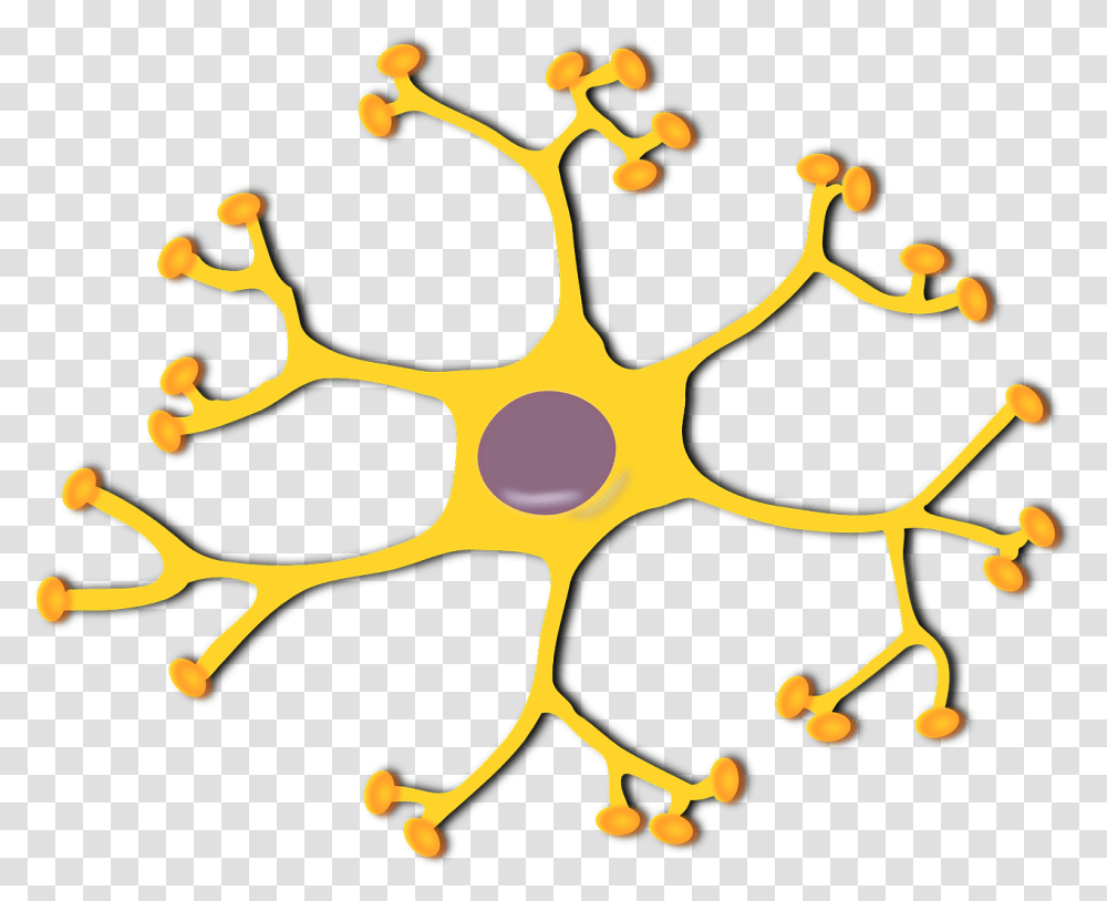 Brain Cells Clipart, Star Symbol, Plant, Tree Transparent Png