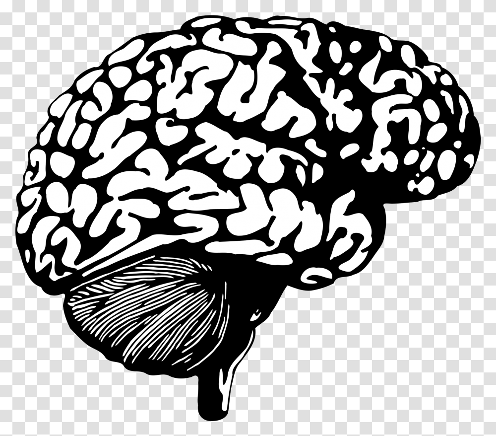 Рисунок трафарет головного мозга