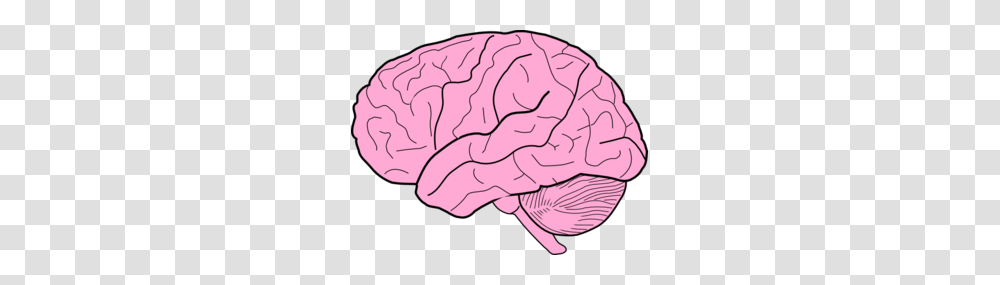 Brain Clip Art, Plant, Apparel, Rock Transparent Png